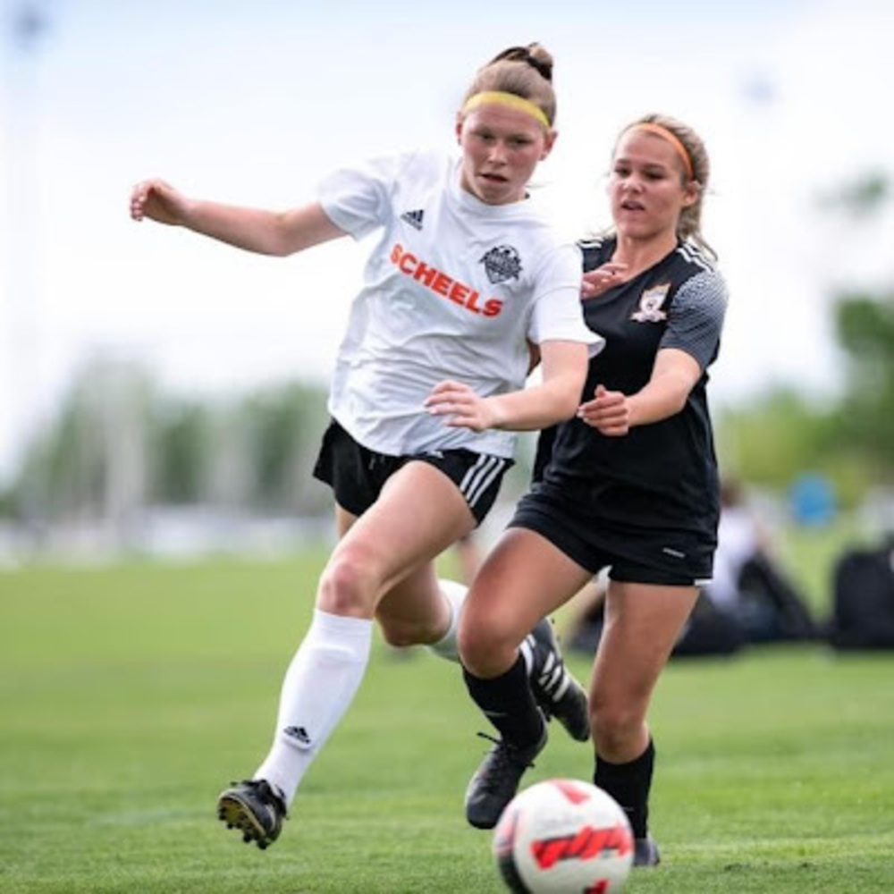 Meet your Posher, Ava